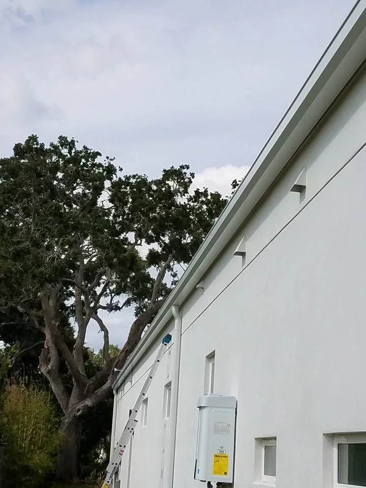 Extension ladder white stucco eave gutter install oak tree, Sanford